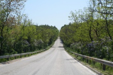 Дорога по Болгарии